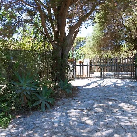 Сasa de vacaciones Stella, With Garden, Five Minutes From The *