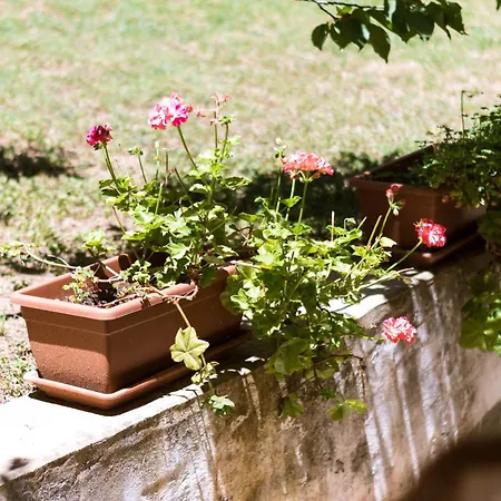 Stella, With Garden, Five Minutes From The بيت للعطل