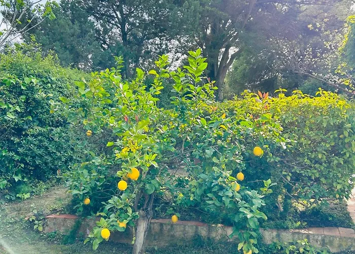Stella, With Garden, Five Minutes From The * 托雷德尔斯泰尔