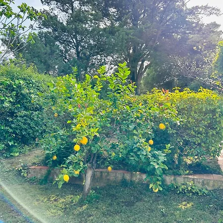 Stella, With Garden, Five Minutes From The * 托雷德尔斯泰尔
