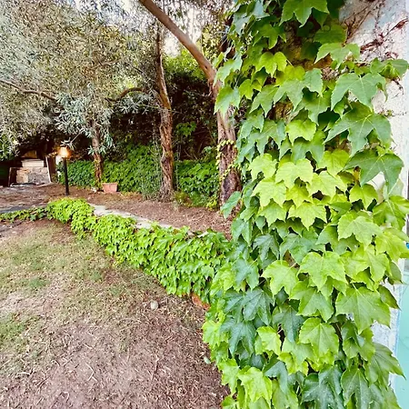 Holiday home Stella, With Garden, Five Minutes From The