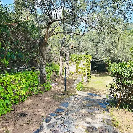 Stella, With Garden, Five Minutes From The