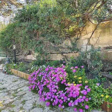 Stella, With Garden, Five Minutes From The Holiday home Torre delle Stelle