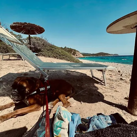 Stella, With Garden, Five Minutes From The