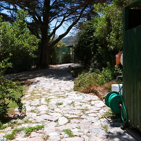 Stella, With Garden, Five Minutes From The Semesterbostad *