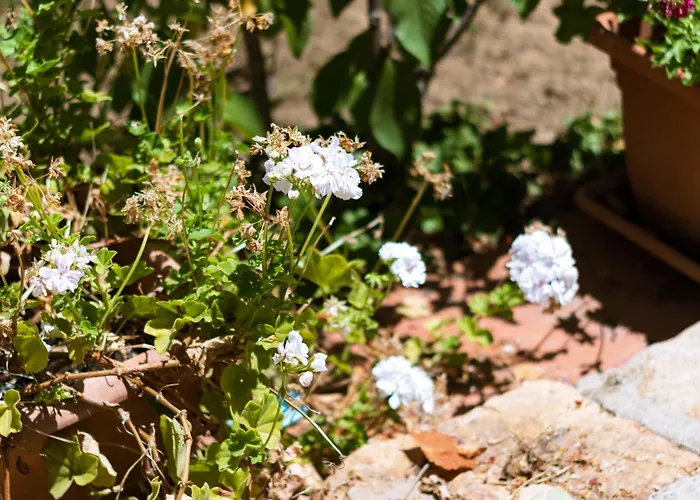 Stella, With Garden, Five Minutes From The Nyaraló Torre delle Stelle